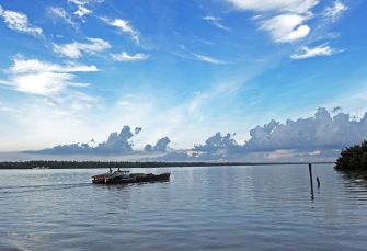 rive delta du mekong sud vietnam