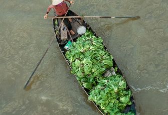 vendeuse legumes delta du mekong