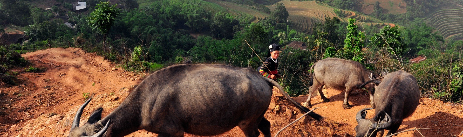 Immersion dans la vie locale chez les Lolo noir, Vietnam