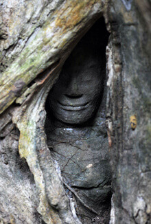 voyage au cambodge