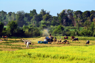 Kratie