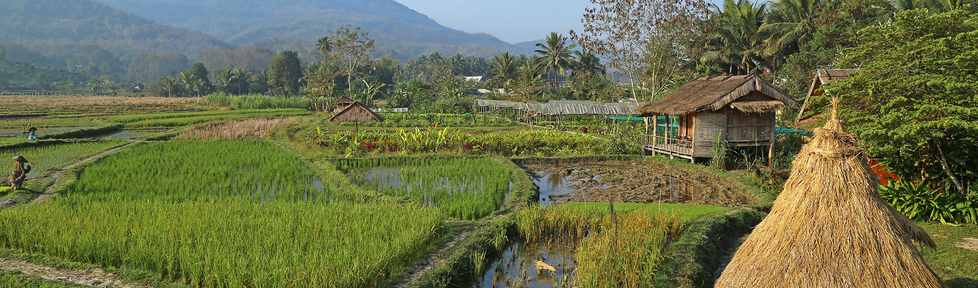 chez habitant laos