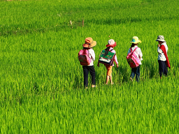 sur chemin de l'ecole