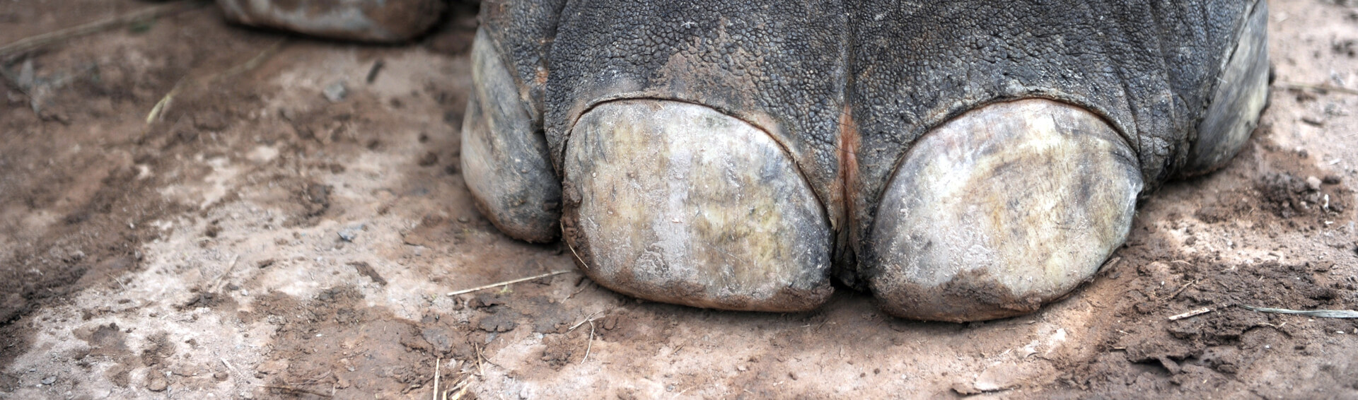 combiné laos vietnam