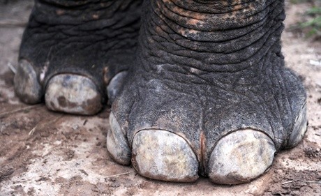 combiné laos vietnam