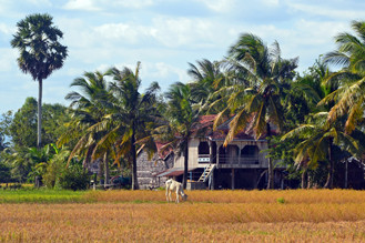 Kampot