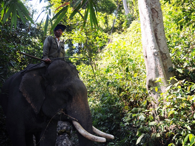 capital cafe buon me thuot