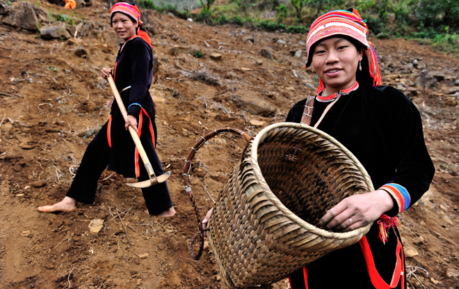 Dao Rouge Ã  Meo Vac, province de Ha Giang
