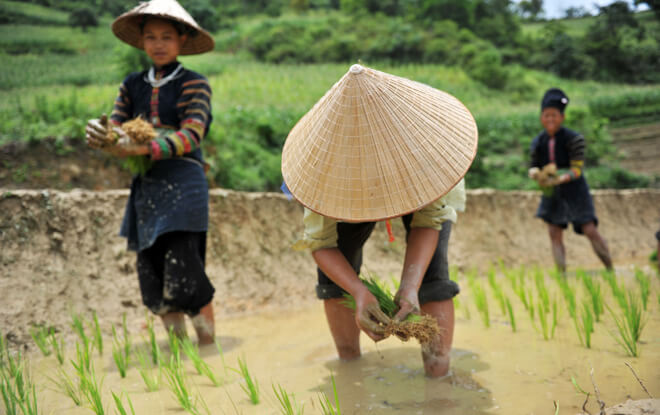 Rencontre avec les Lolo noir à Cao Bang