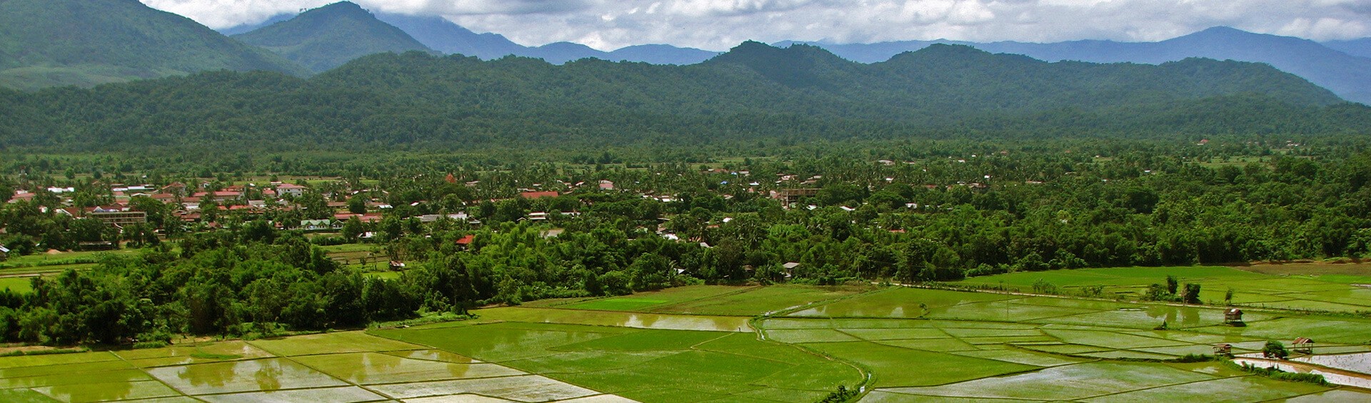 Rizières Vang Vieng Laos