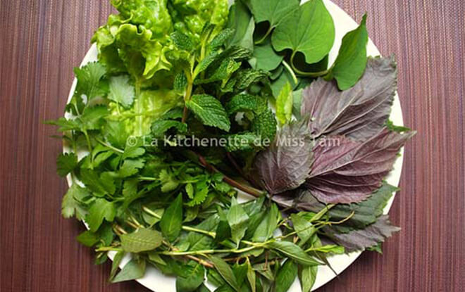 Herbes aromatiques Miss Tâm Vietnam 