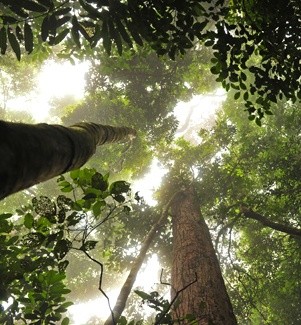 Paradis oubliés au Vietnam