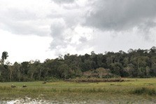 quand partir vietnam