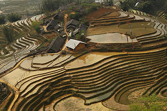 sapa