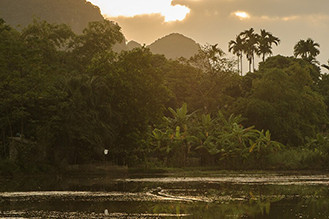 tam coc