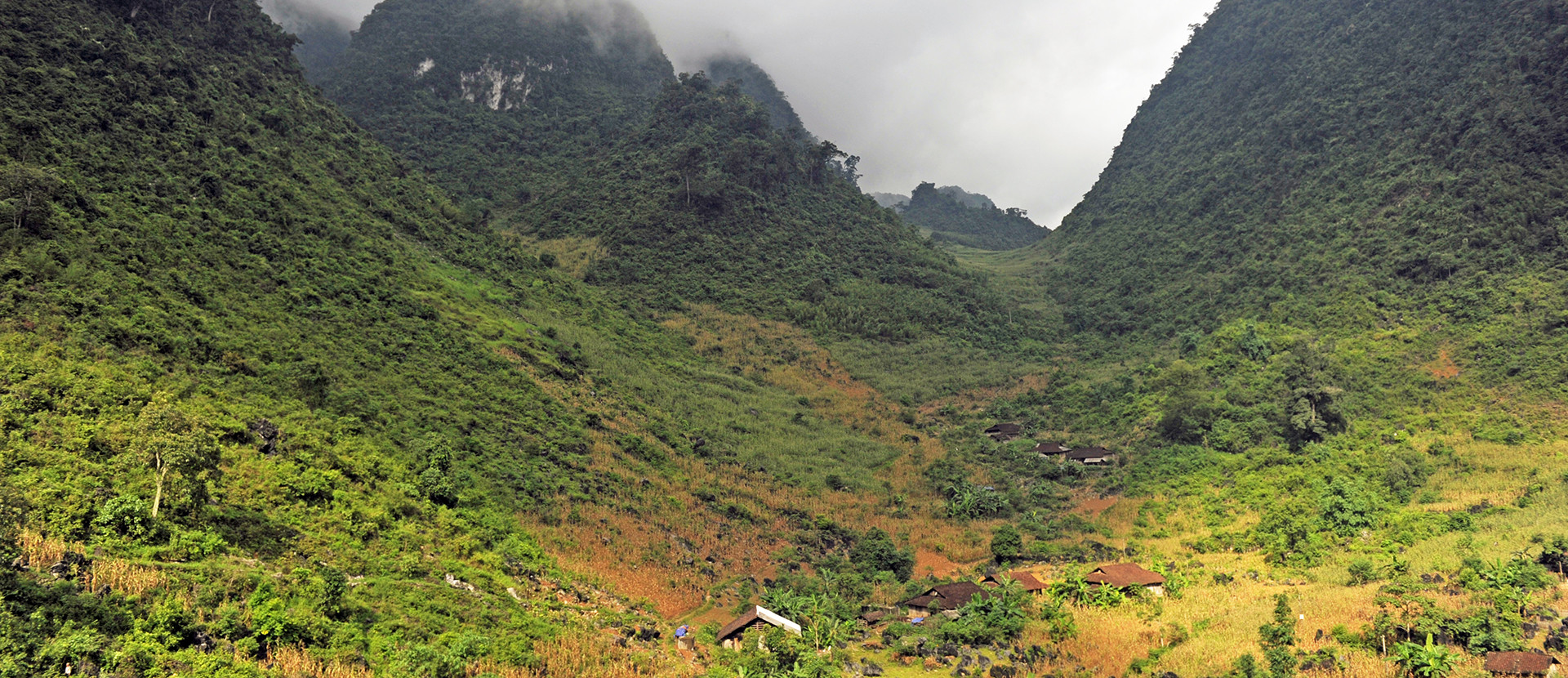 thong nong vietnam