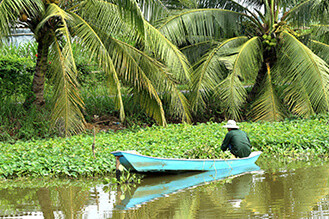 pêcheur Go Cong