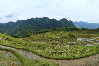Rizière en terrasse Pu Luong Home