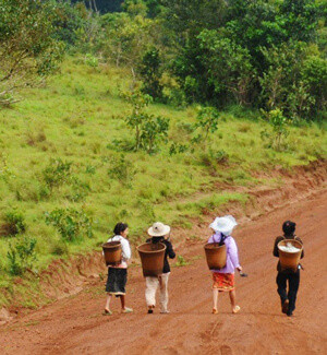 Trek Cambodge