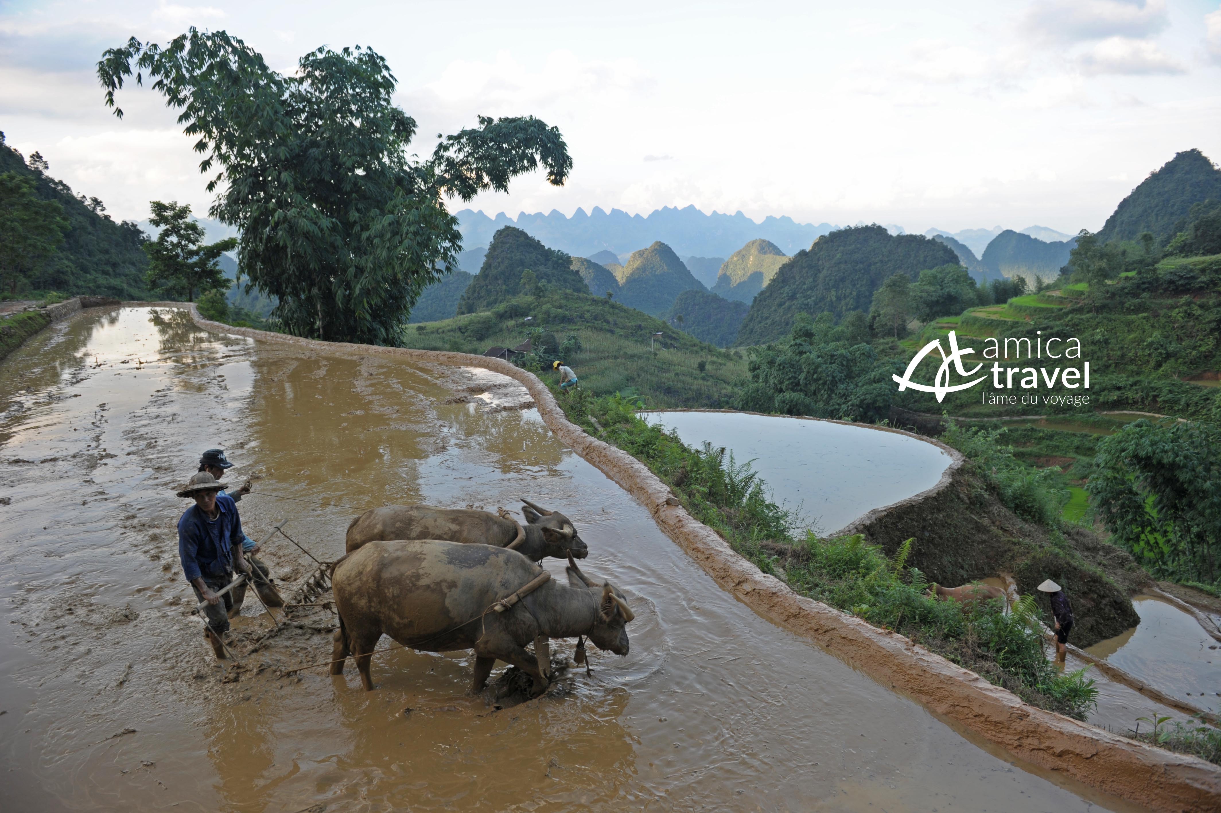 Immersion en terres inconnues du Vietnam | Amica Travel