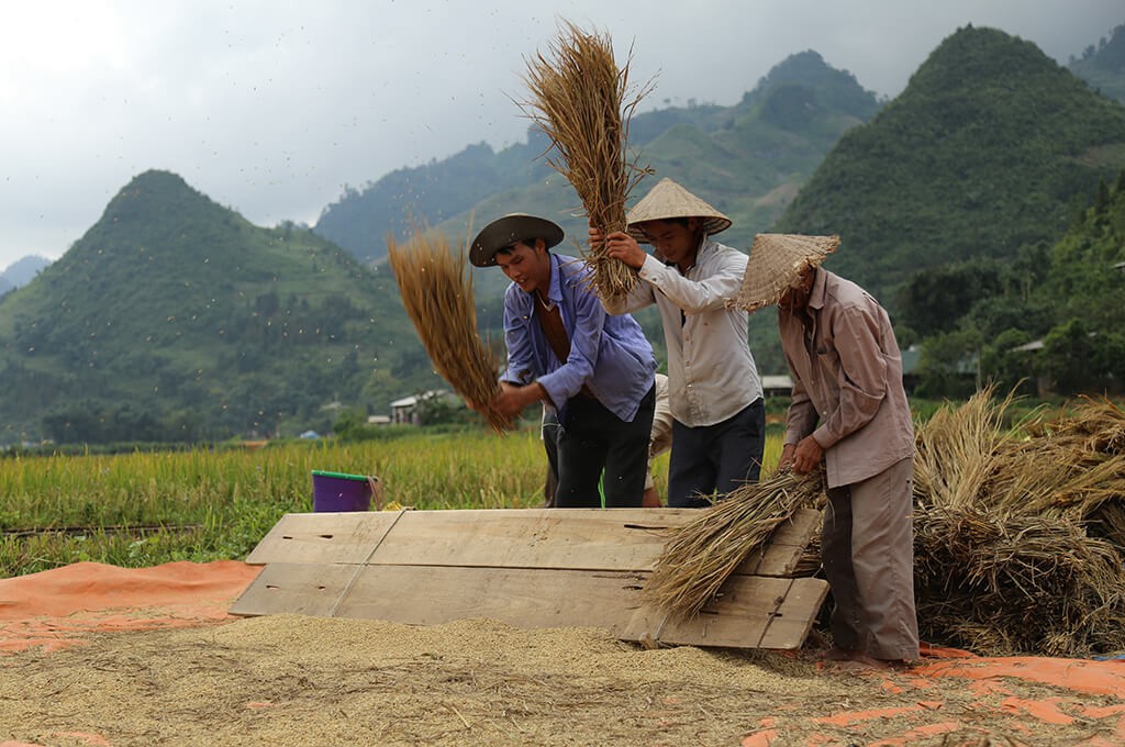 <strong>Que faire au <strong>Vietnam en 3 semaines</strong></strong> – Guide complet pour une aventure inoubliable <strong>Que faire au <strong>Vietnam en 3 semaines</strong></strong> – Guide complet pour une aventure inoubliable