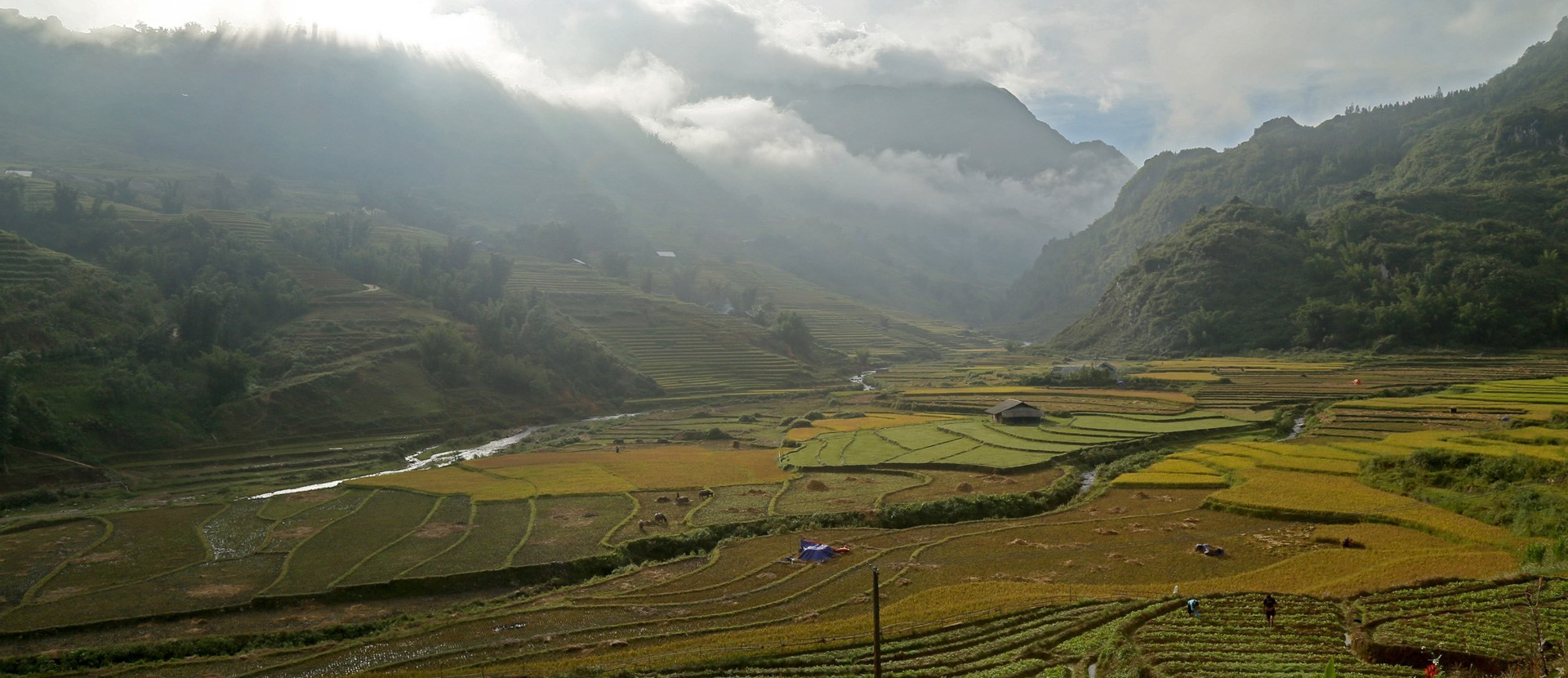 sampan tam coc ninh binh