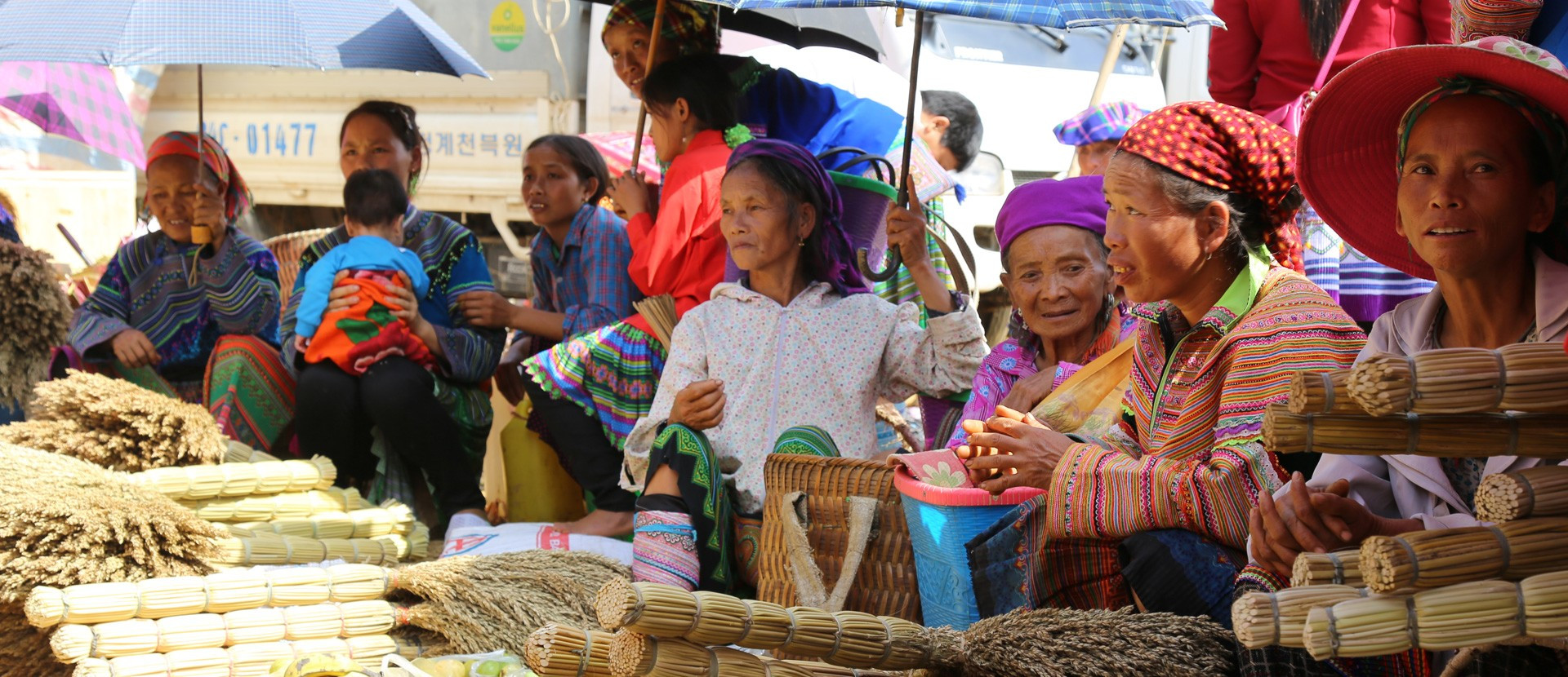rizière en terrasse Bac Ha