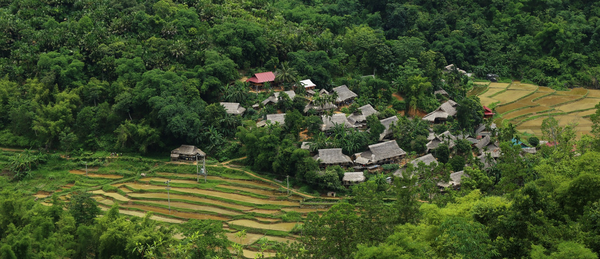 riziere Pu Luong Thanh Hoa