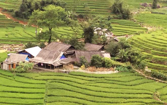Balades au milieu des rizières en terrasse au Nord du Vietnam
