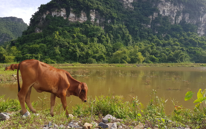 Un dépaysement total 