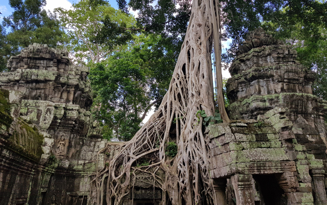 Temple Ta Phrom mystérieux