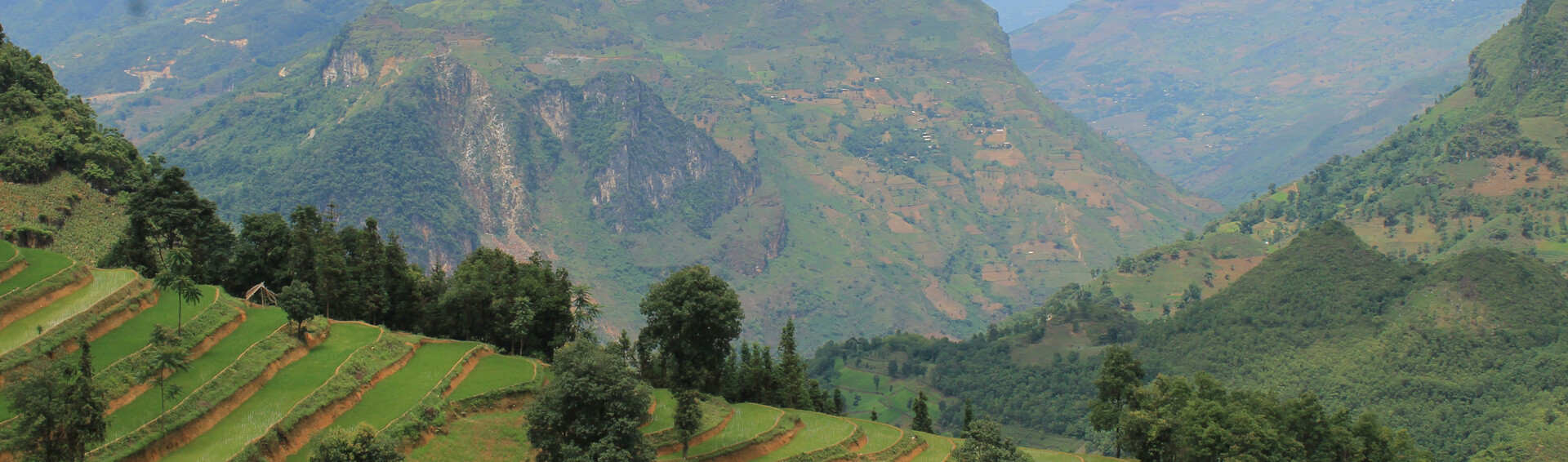 bac ha paysage rizieres
