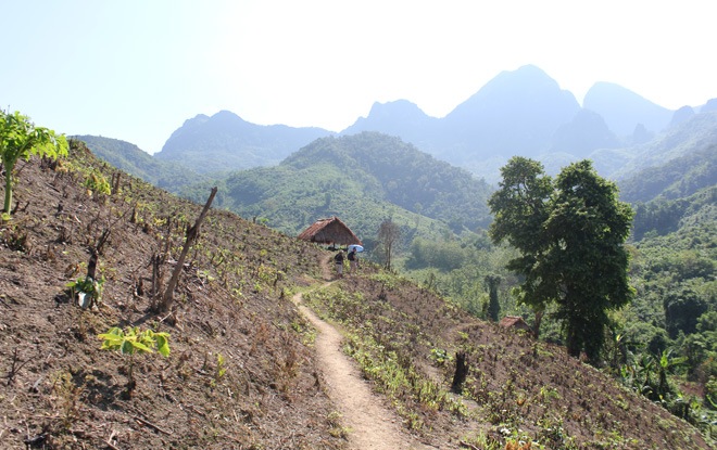 paysages brulis laos