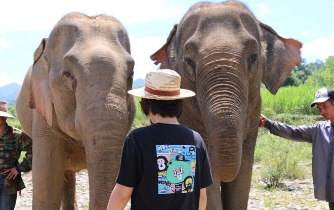 manda laos elephant centre