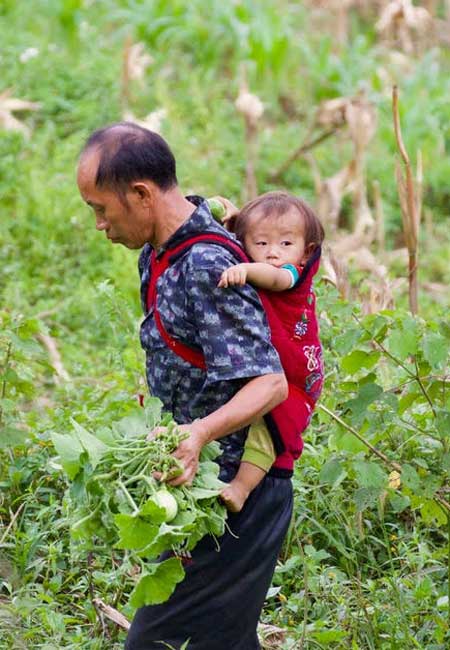 Un papa dans les champs avec un bébé sur le dos