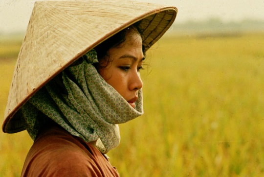 Nostalgie de la campagne, un des films de Dang Minh Nhat