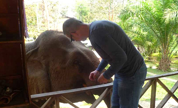 Donner à manger à l'éléphant