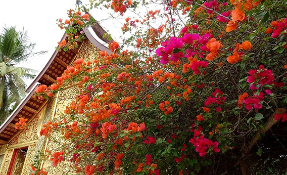 À la porte d'une pagode à Luang Prabang