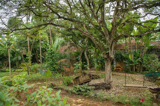 balançoire à Tam Coc Garden 