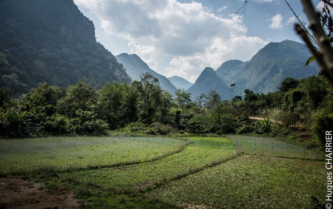 Paysage tranquille du Laos