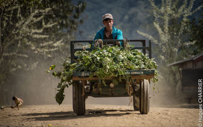 Rentrer à la maison