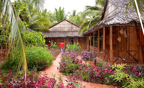 Chez Viet à Ben Tre, royaume des cocotiers