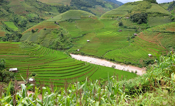Paysage magnifique du nord Vietnam