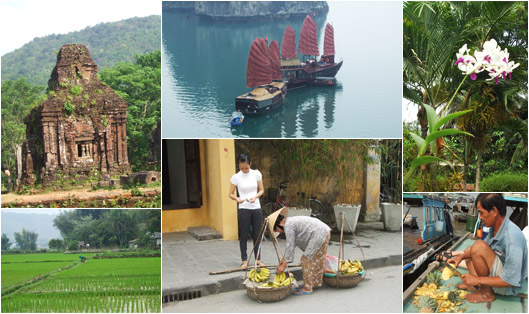 les merveilleux paysages au vietnam