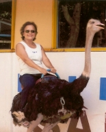 un merveilleux périple au vietnam témoignage de voyage au vietnam