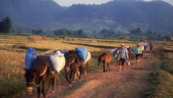 laos papiers a apporter