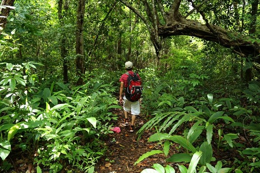balade-jungle-mondolkiri