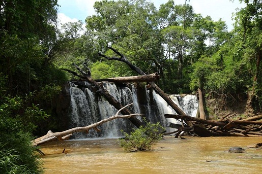 chute-d-eau-jungle-mondolkiri