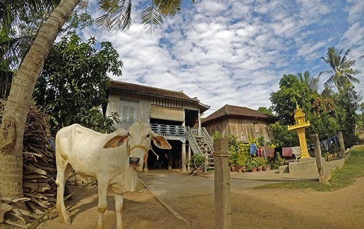maison-bois-koh-dach