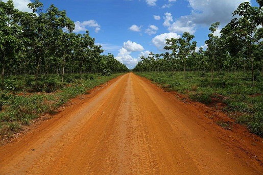 terre-rouge-ban-lung